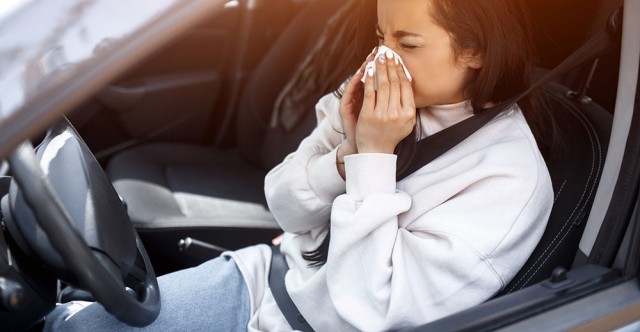 Dix façons de combattre les allergènes